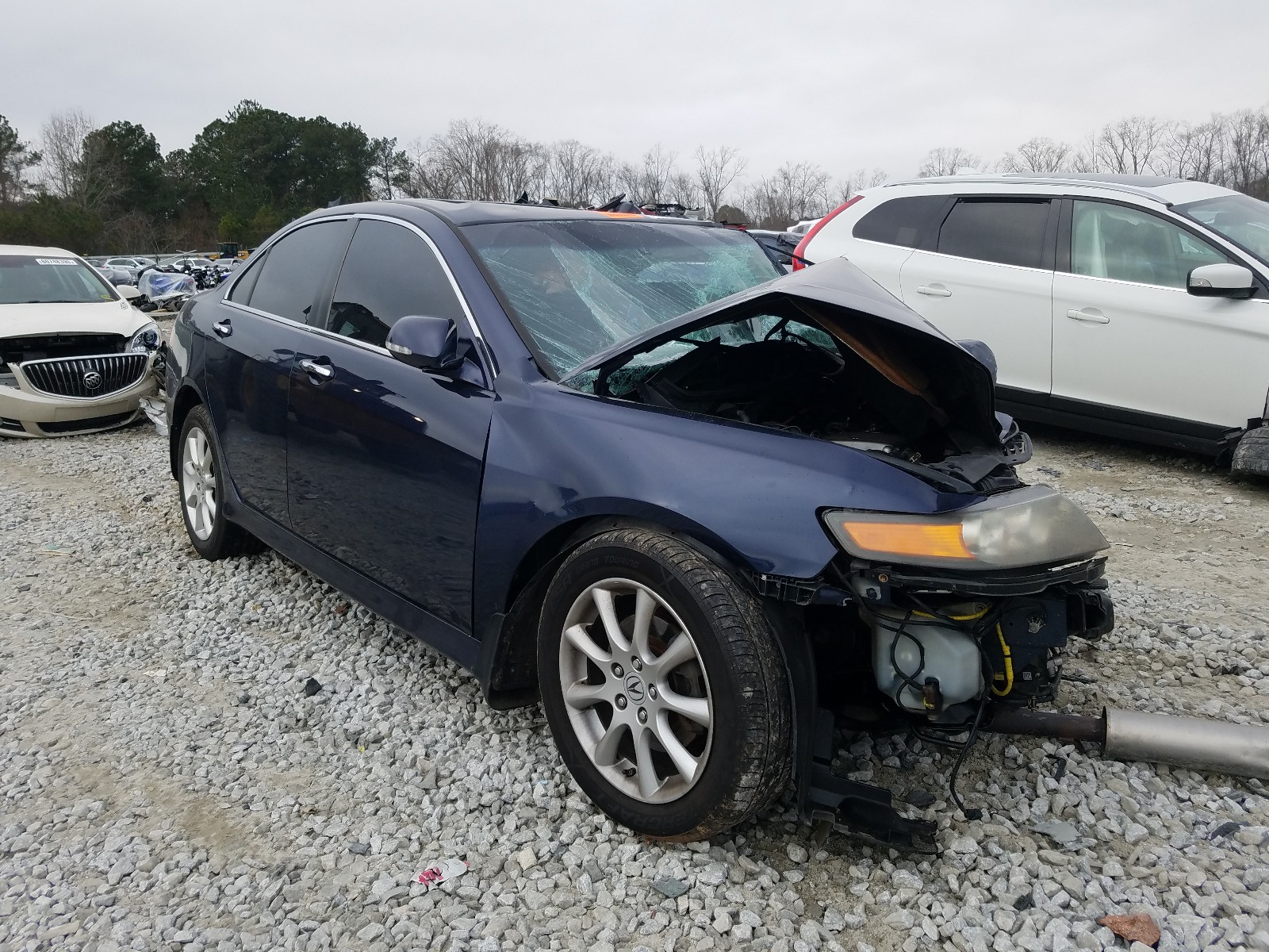 ACURA TSX 2008 jh4cl96988c002070