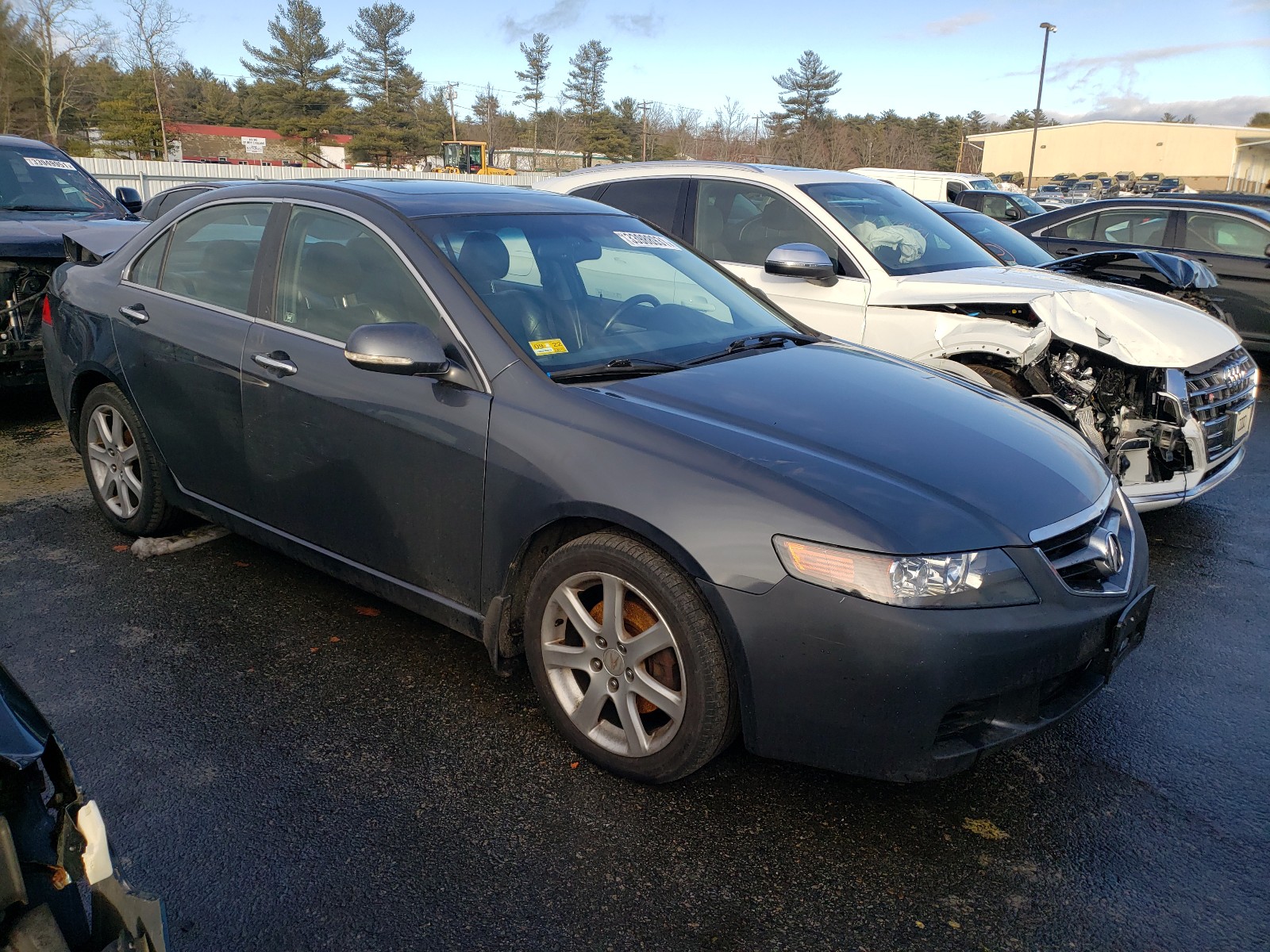 ACURA TSX 2004 jh4cl96994c030292