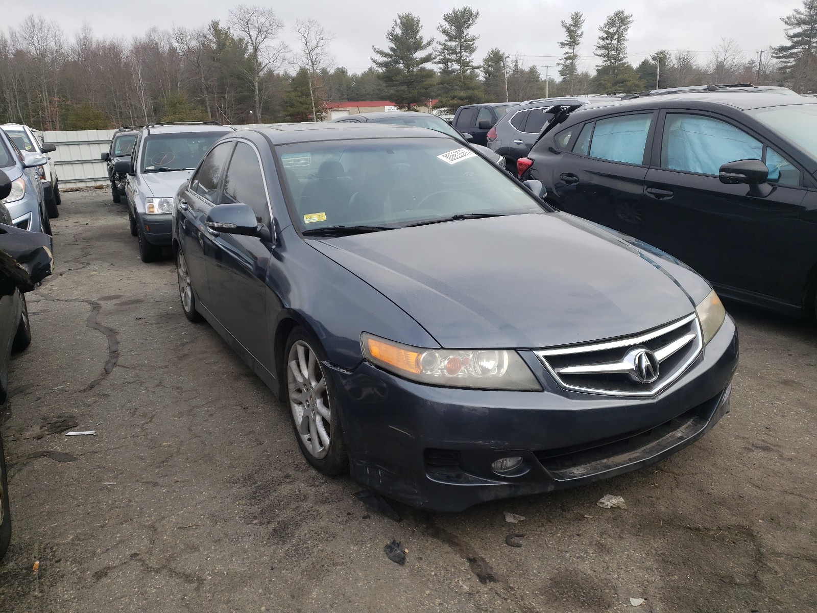 ACURA TSX 2006 jh4cl969x6c012113