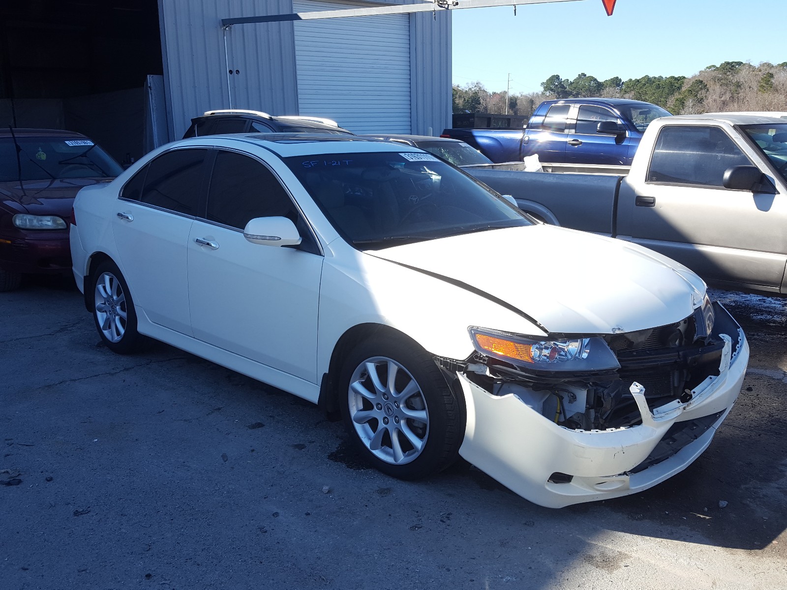 ACURA TSX 2006 jh4cl969x6c032569