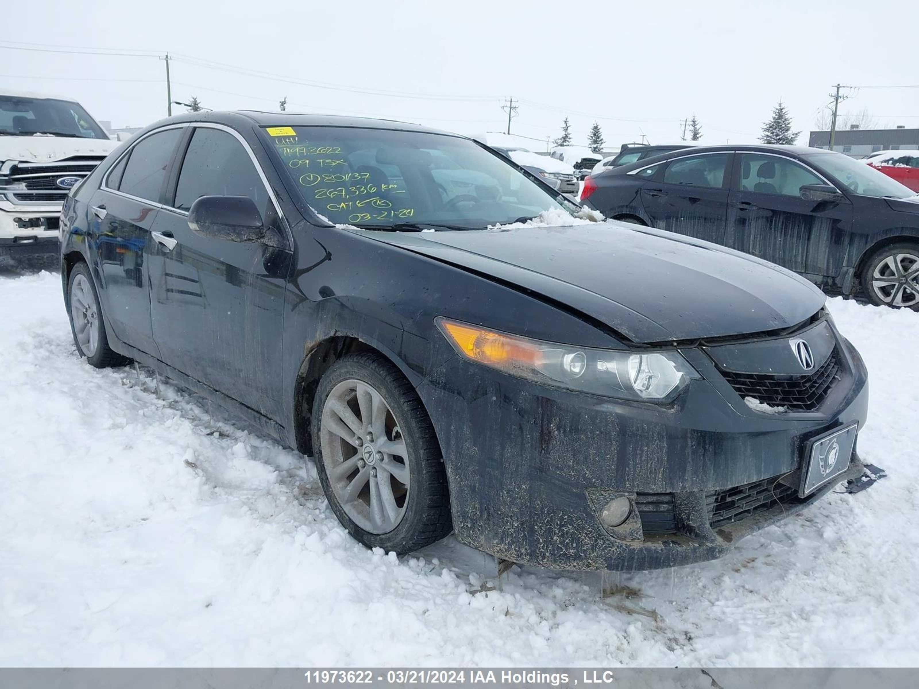 ACURA TSX 2009 jh4cu25639c801137