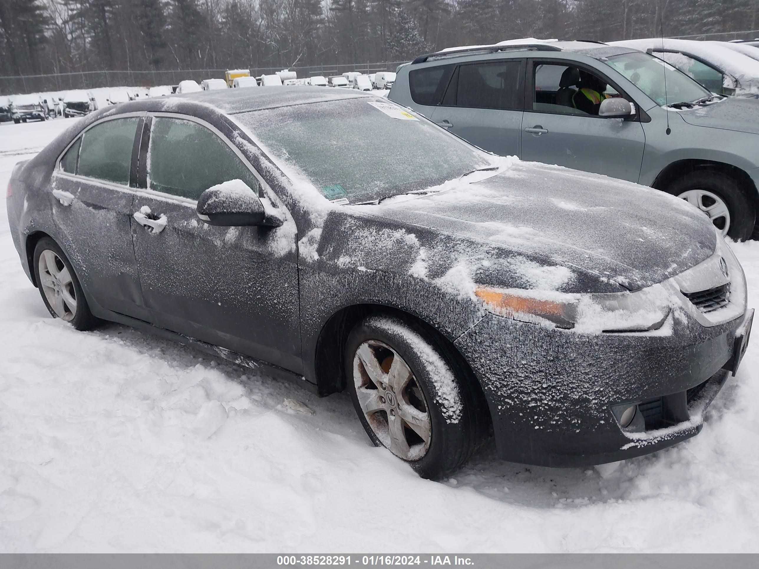 ACURA TSX 2009 jh4cu25699c001765