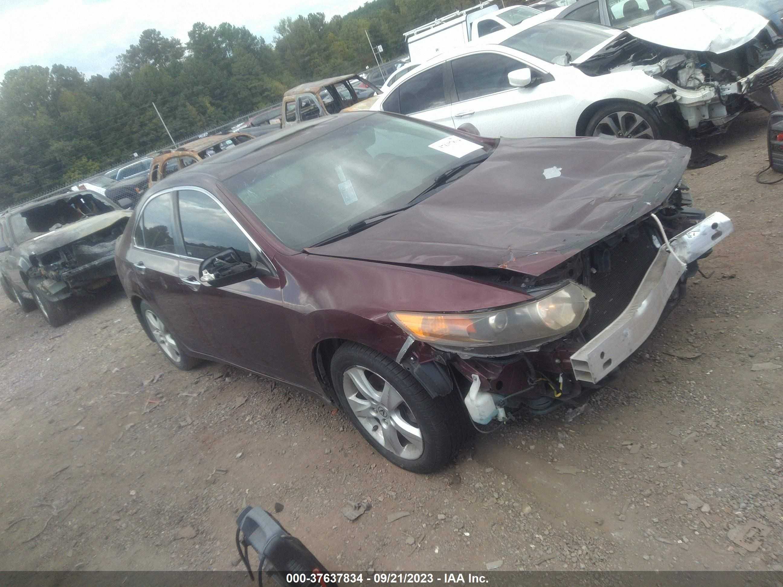 ACURA TSX 2009 jh4cu26609c013219