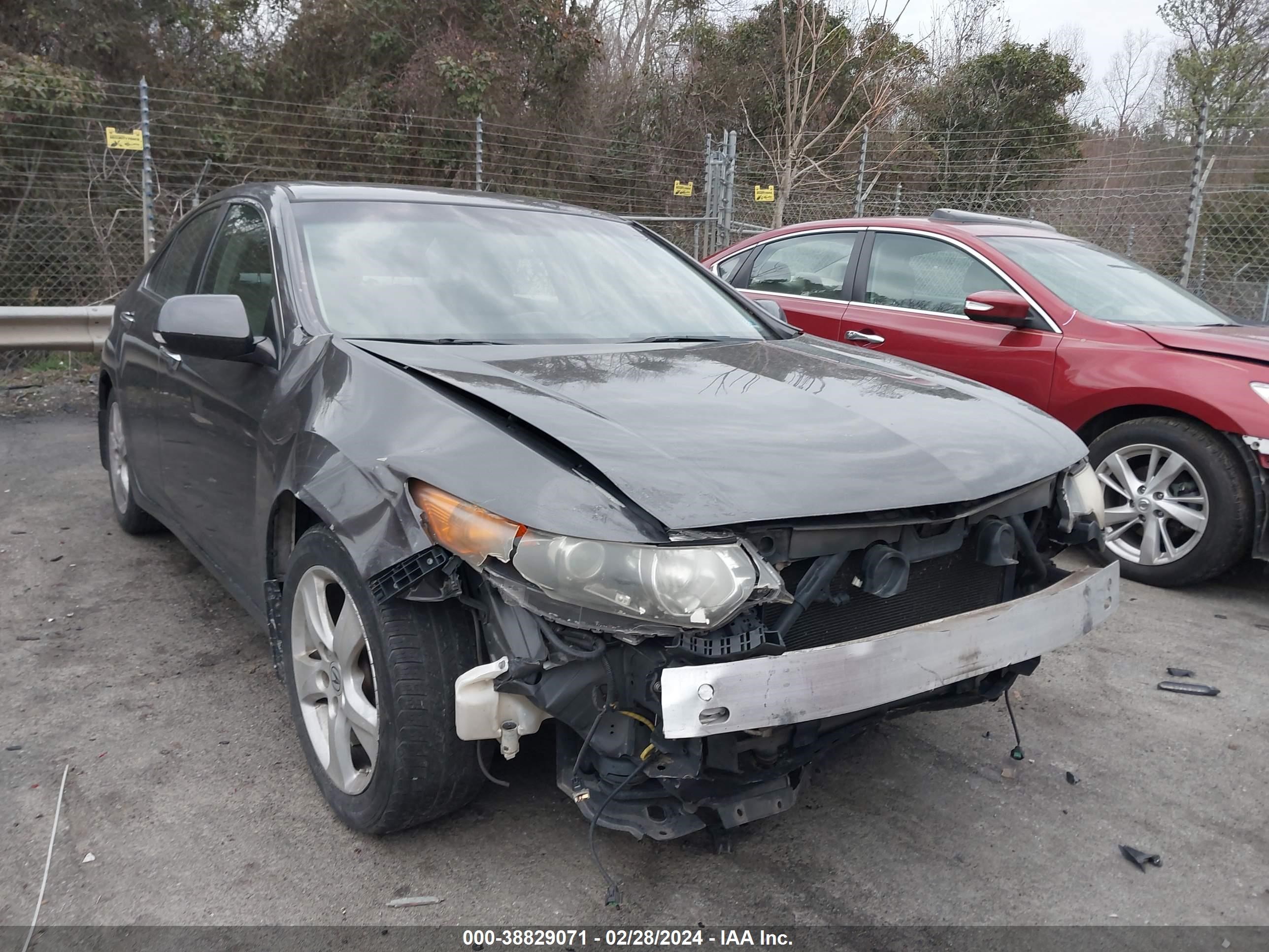 ACURA TSX 2009 jh4cu26609c033082