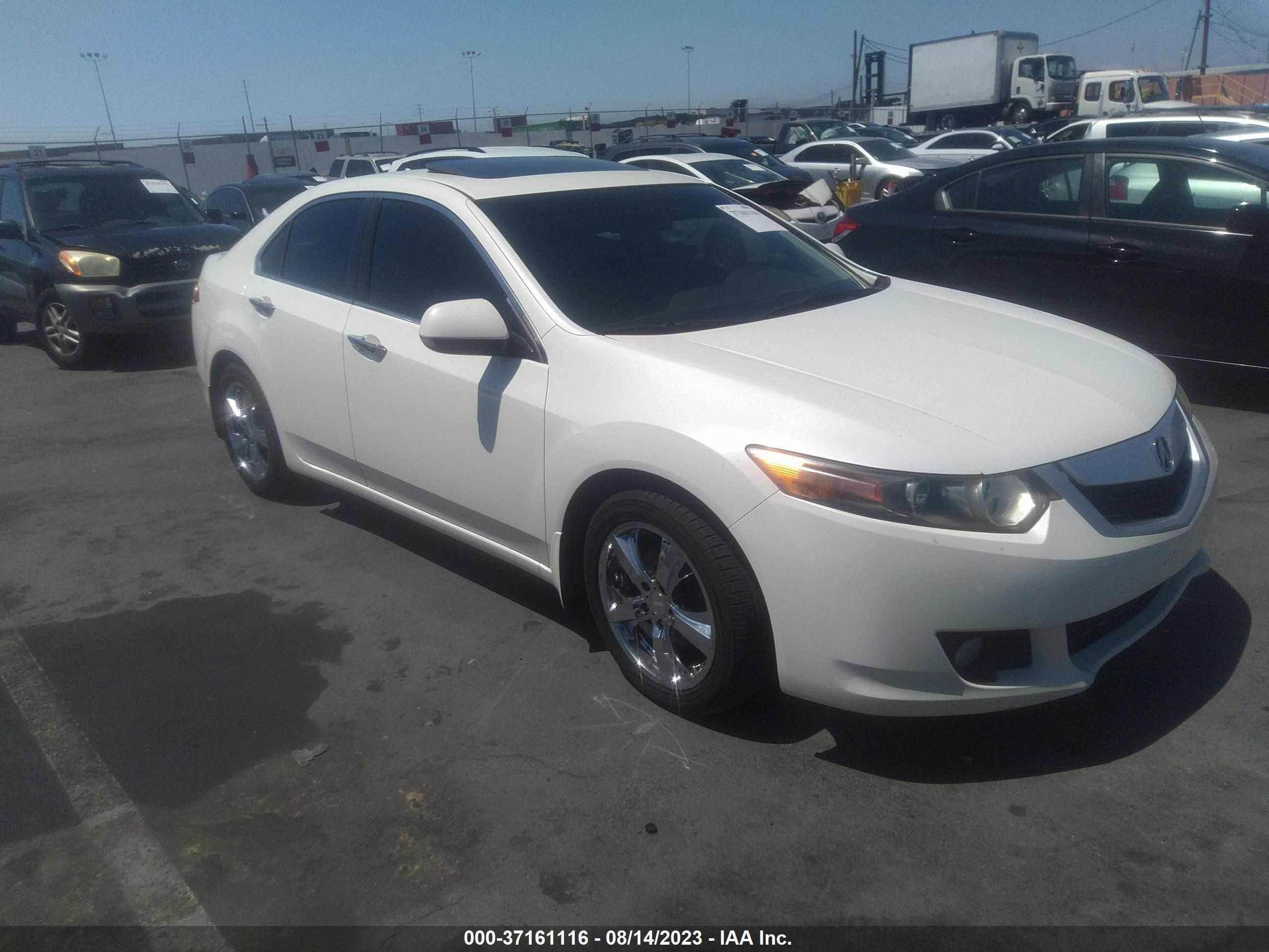 ACURA TSX 2009 jh4cu26619c005789