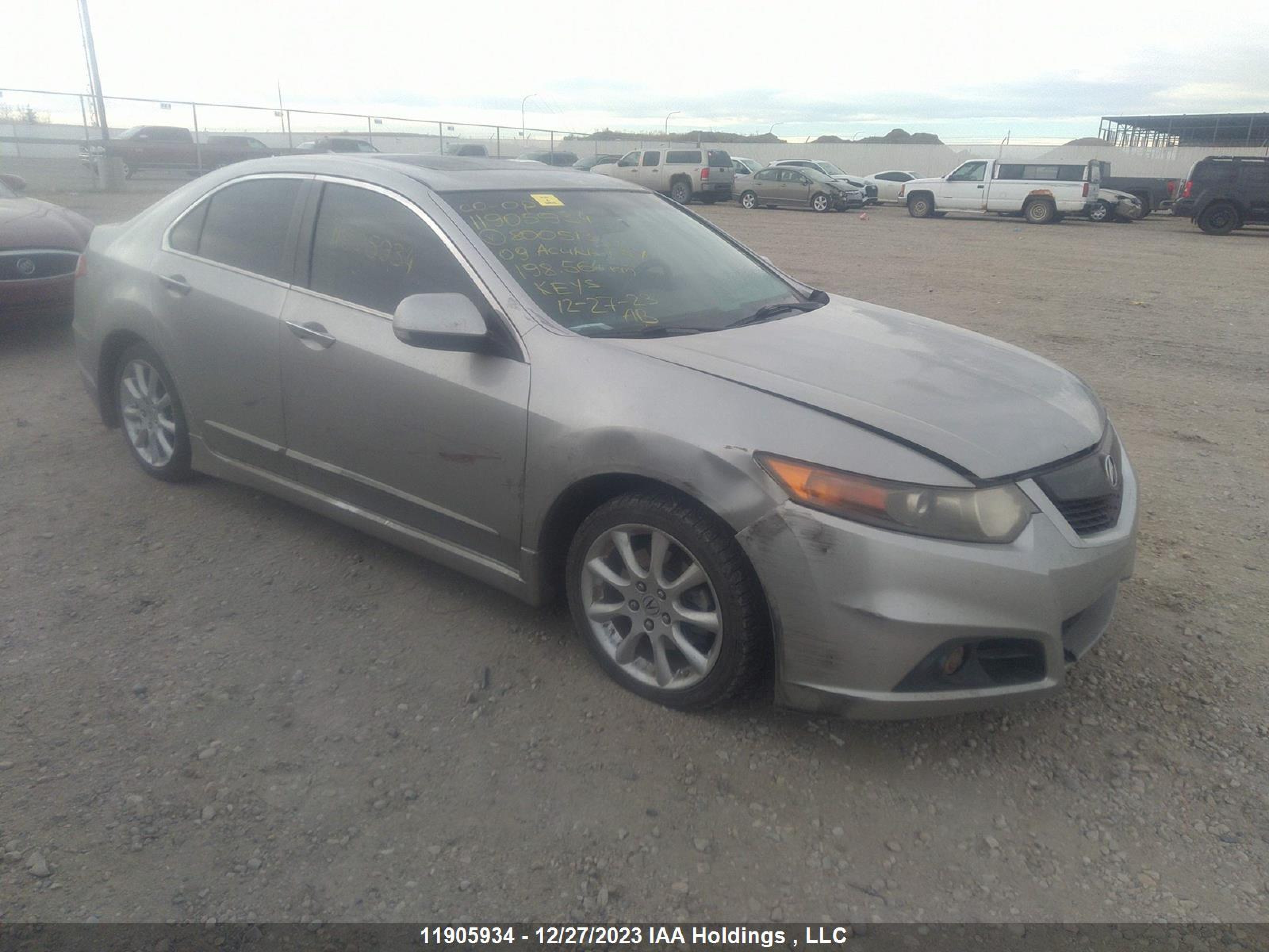 ACURA TSX 2009 jh4cu26629c800513