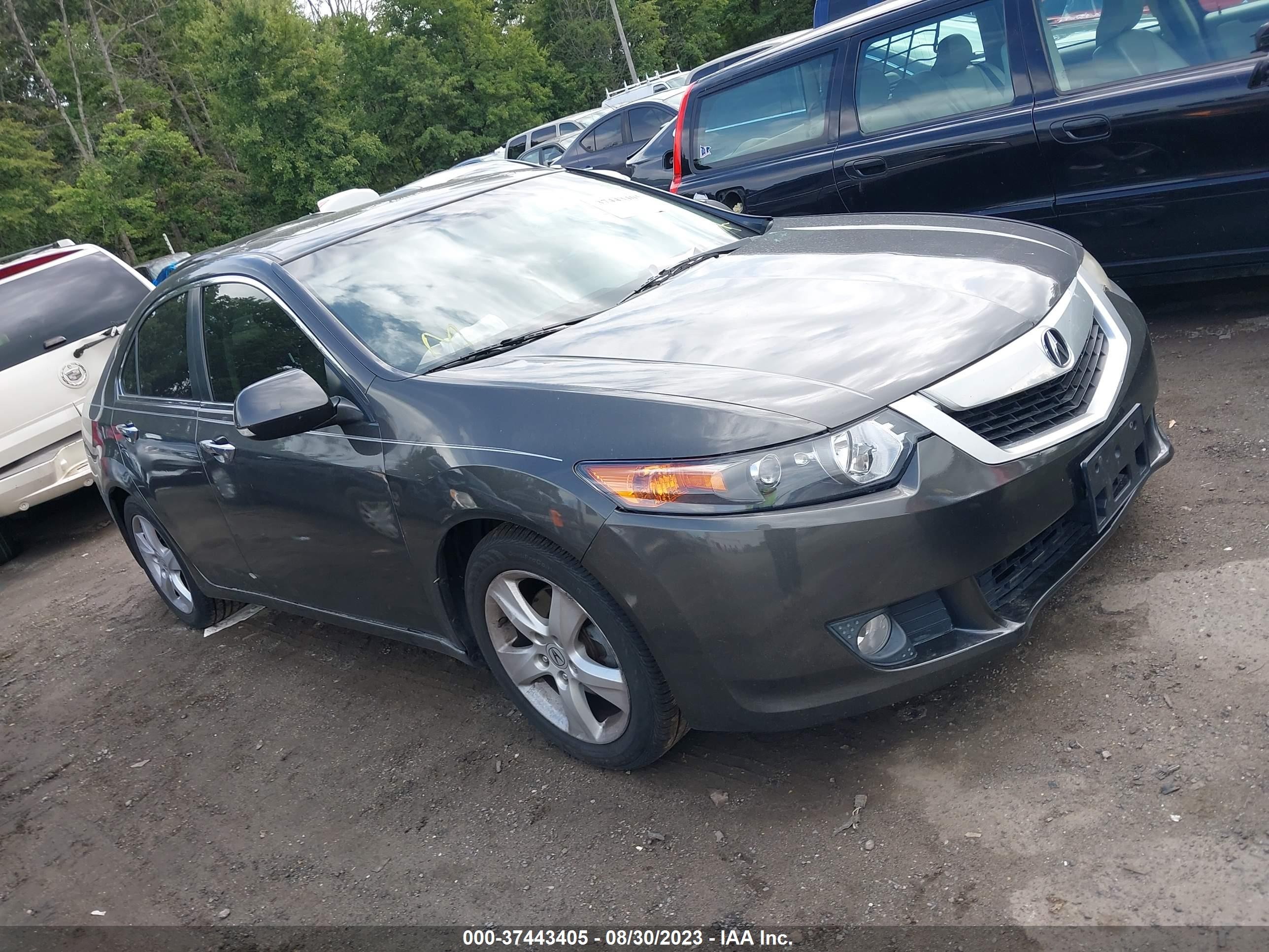 ACURA TSX 2009 jh4cu26639c014655