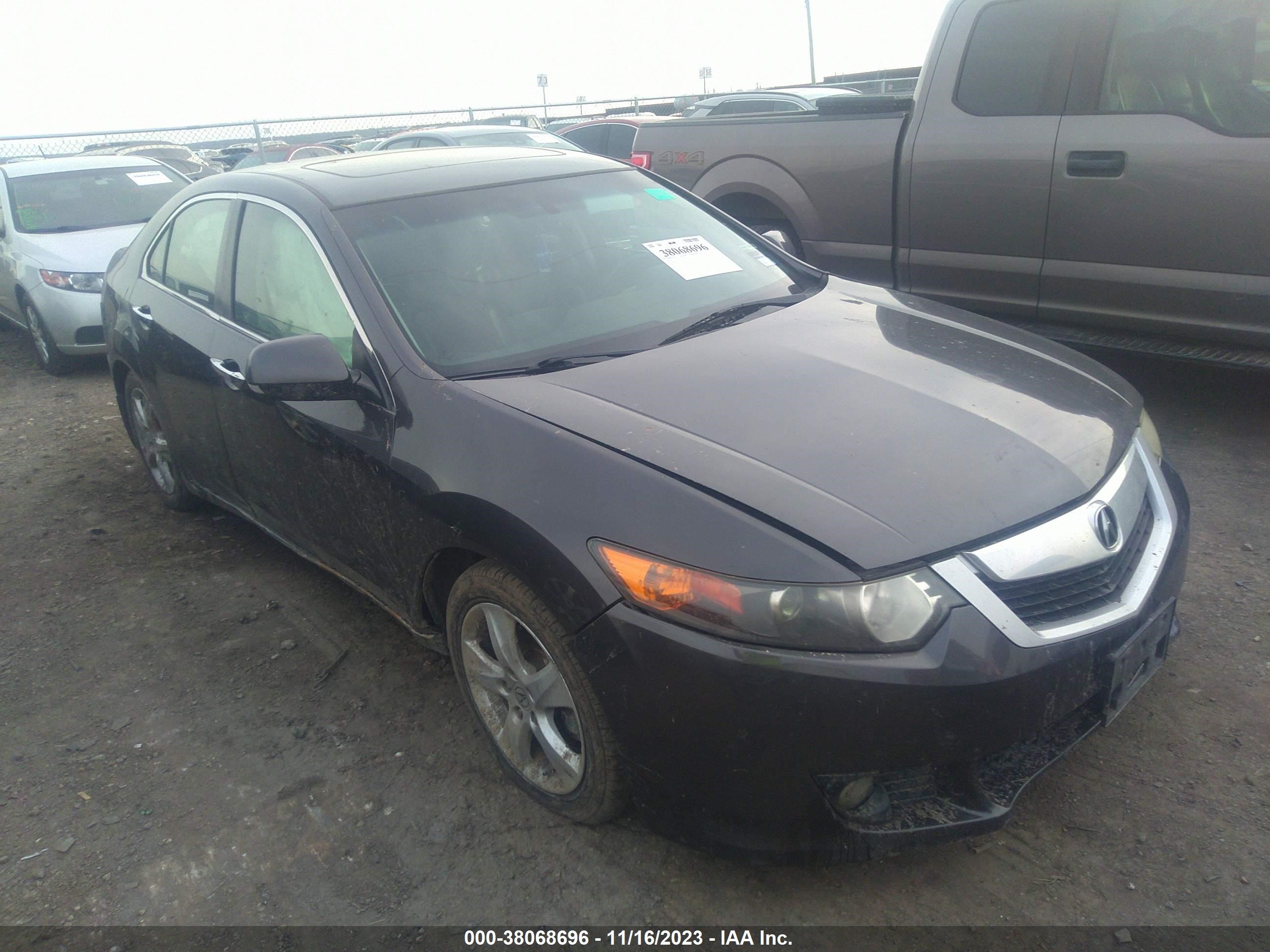 ACURA TSX 2009 jh4cu26639c015837