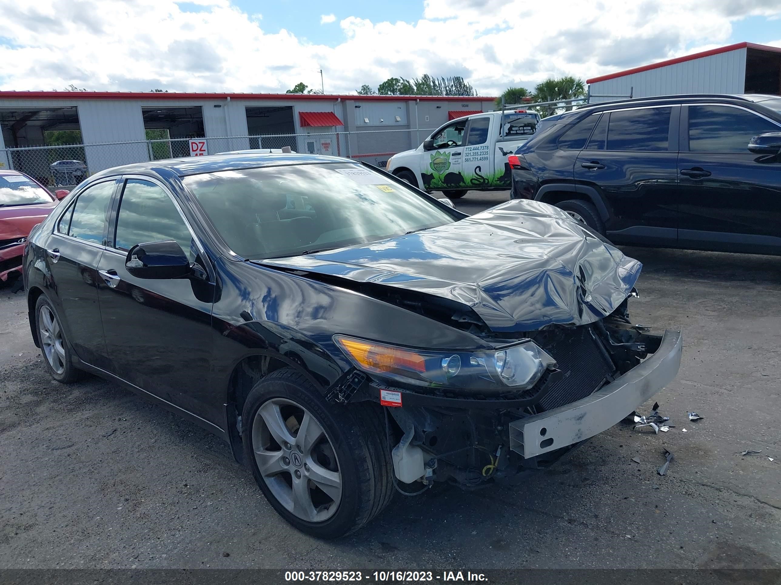 ACURA TSX 2009 jh4cu26649c011487