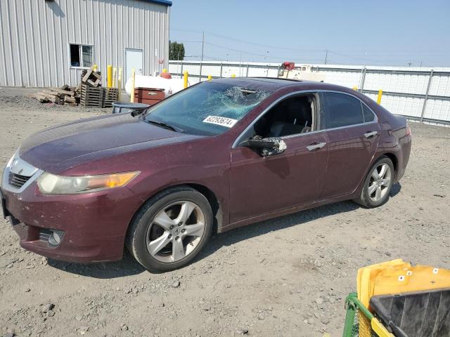 ACURA TSX 2009 jh4cu26649c032517