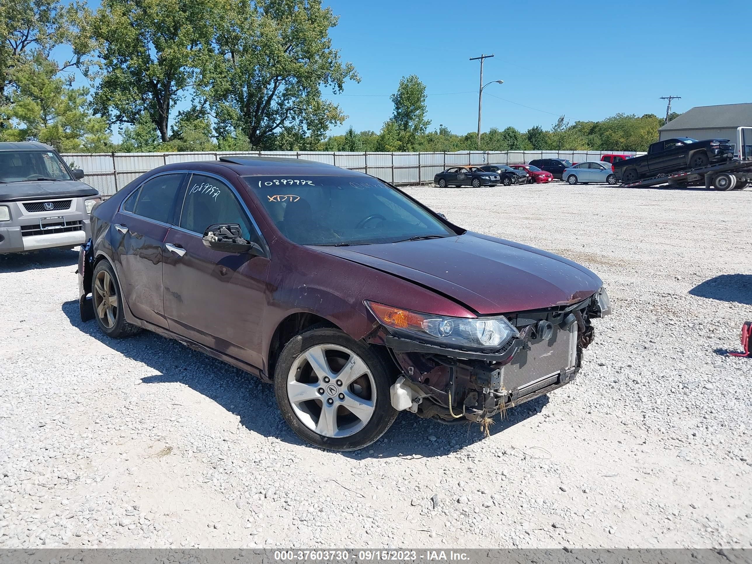 ACURA TSX 2009 jh4cu26659c017539