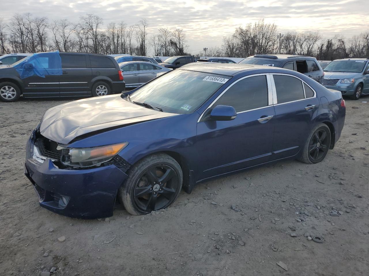 ACURA TSX 2009 jh4cu26659c021977