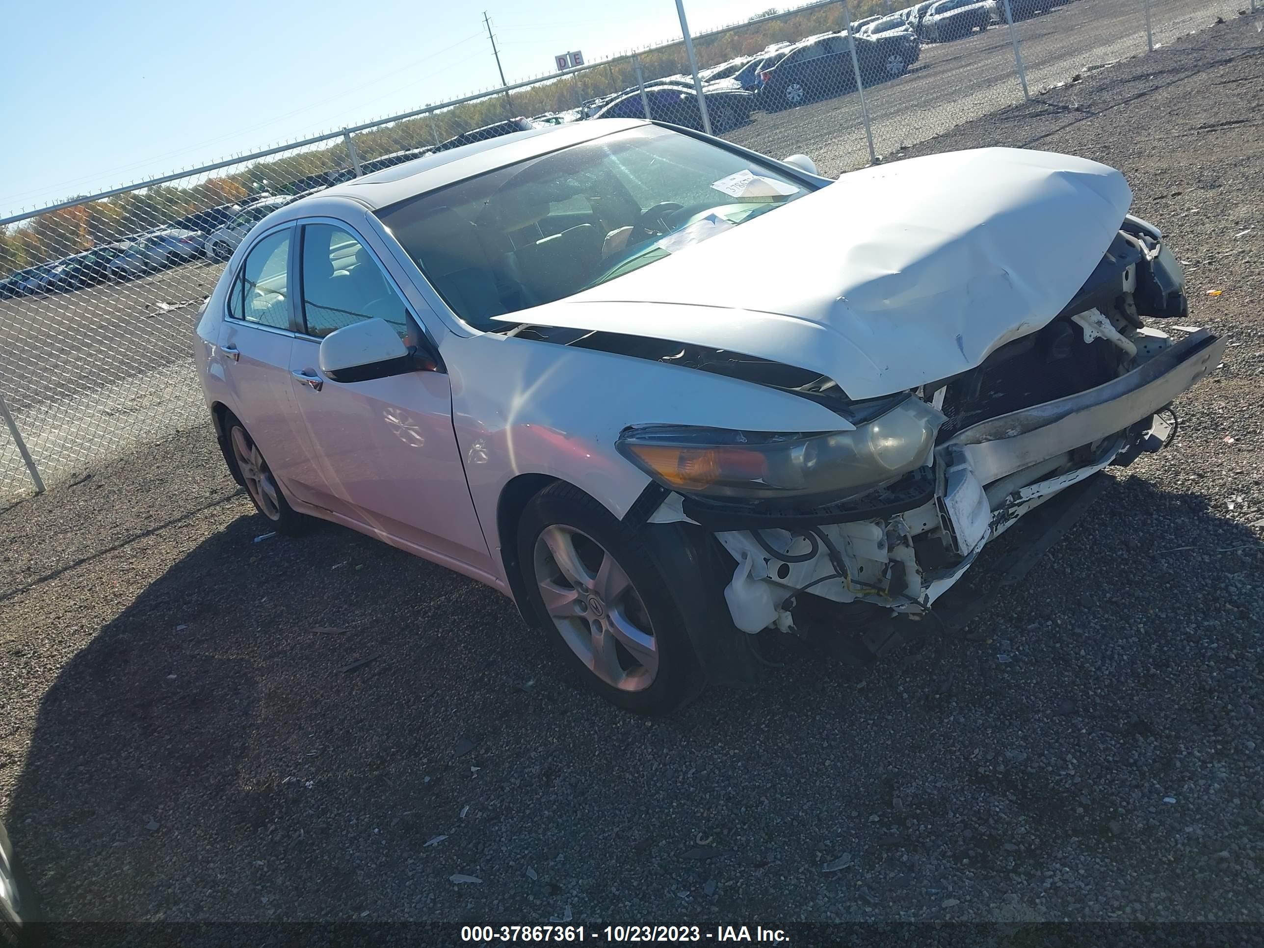 ACURA TSX 2009 jh4cu26679c009619