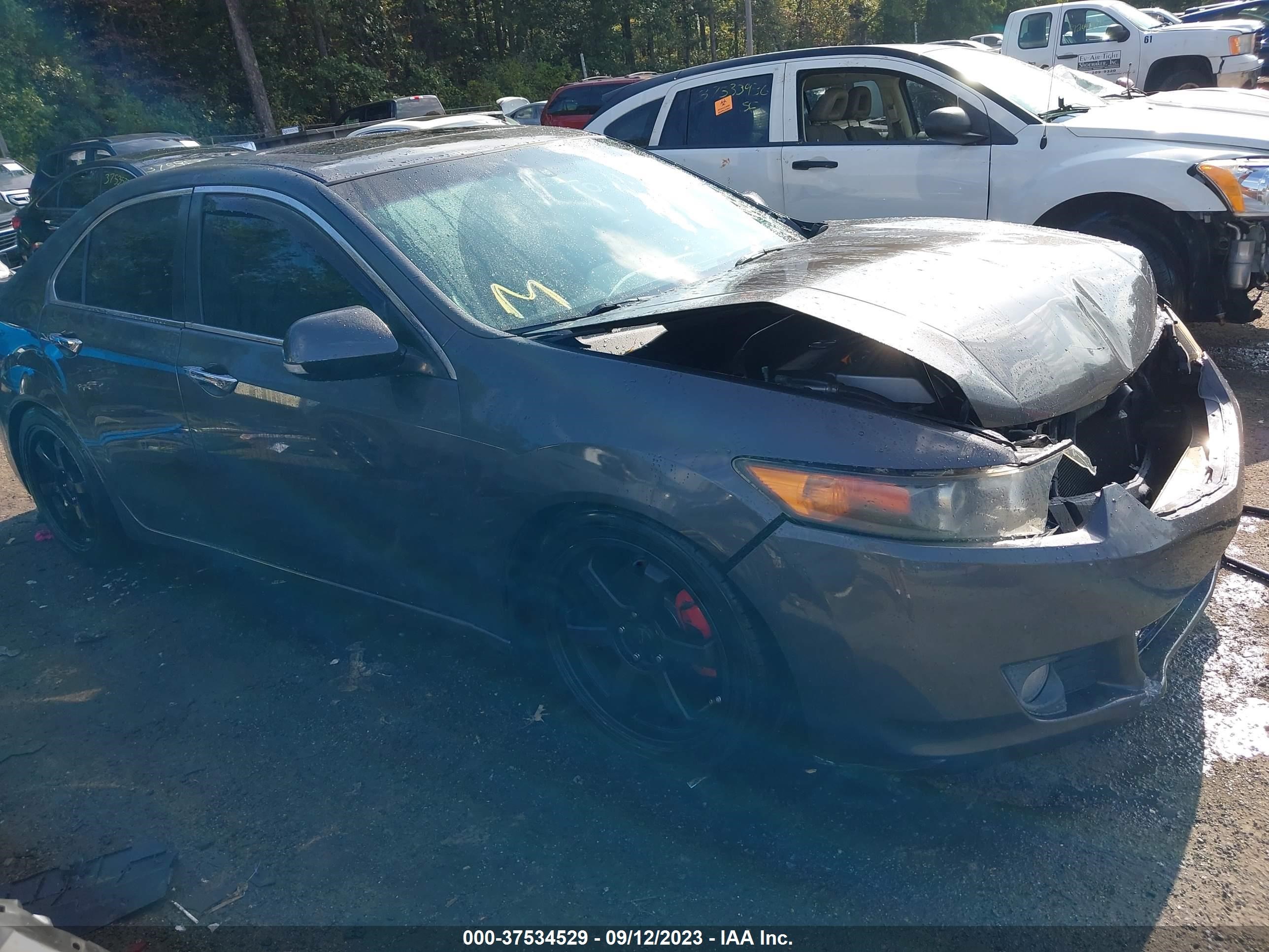 ACURA TSX 2009 jh4cu26689c031287