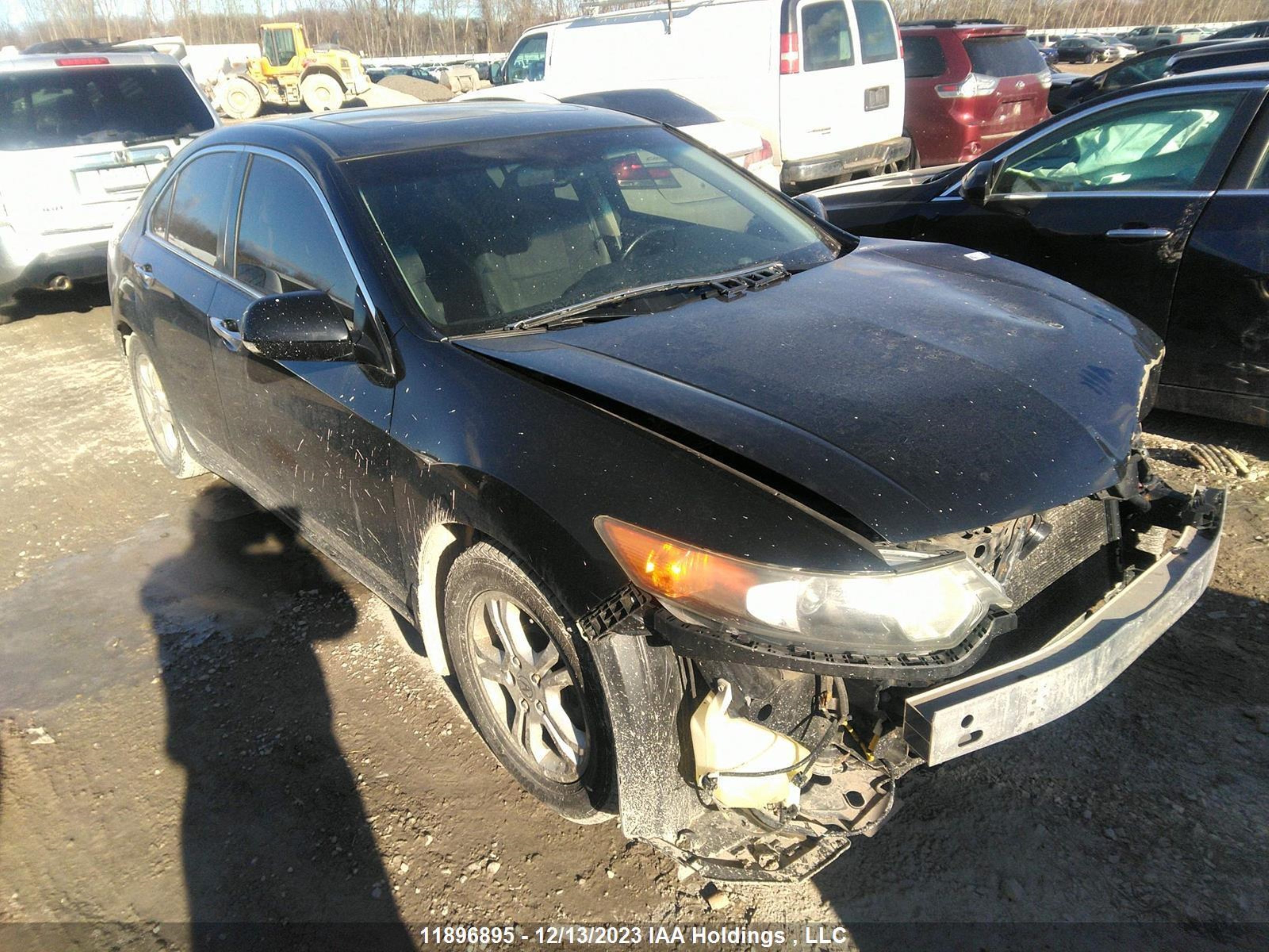 ACURA TSX 2011 jh4cu2e52bc800543