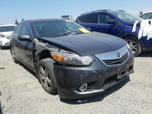 ACURA TSX 2013 jh4cu2f42dc009647