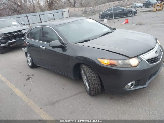 ACURA TSX 2013 jh4cu2f45dc011831