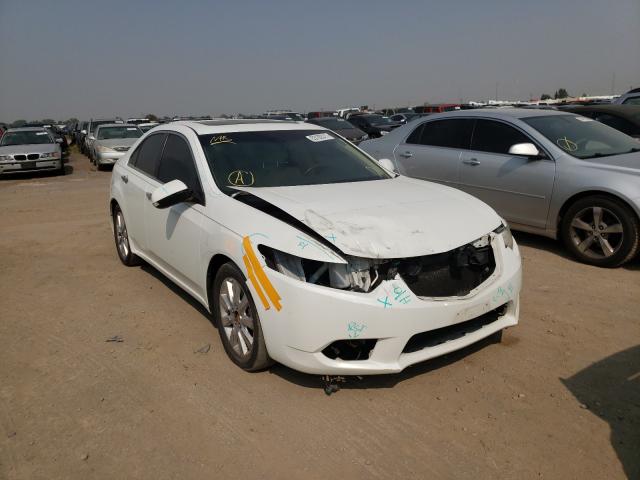 ACURA TSX 2013 jh4cu2f46dc006184