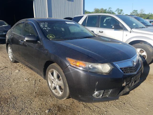 ACURA TSX 2013 jh4cu2f49dc011816