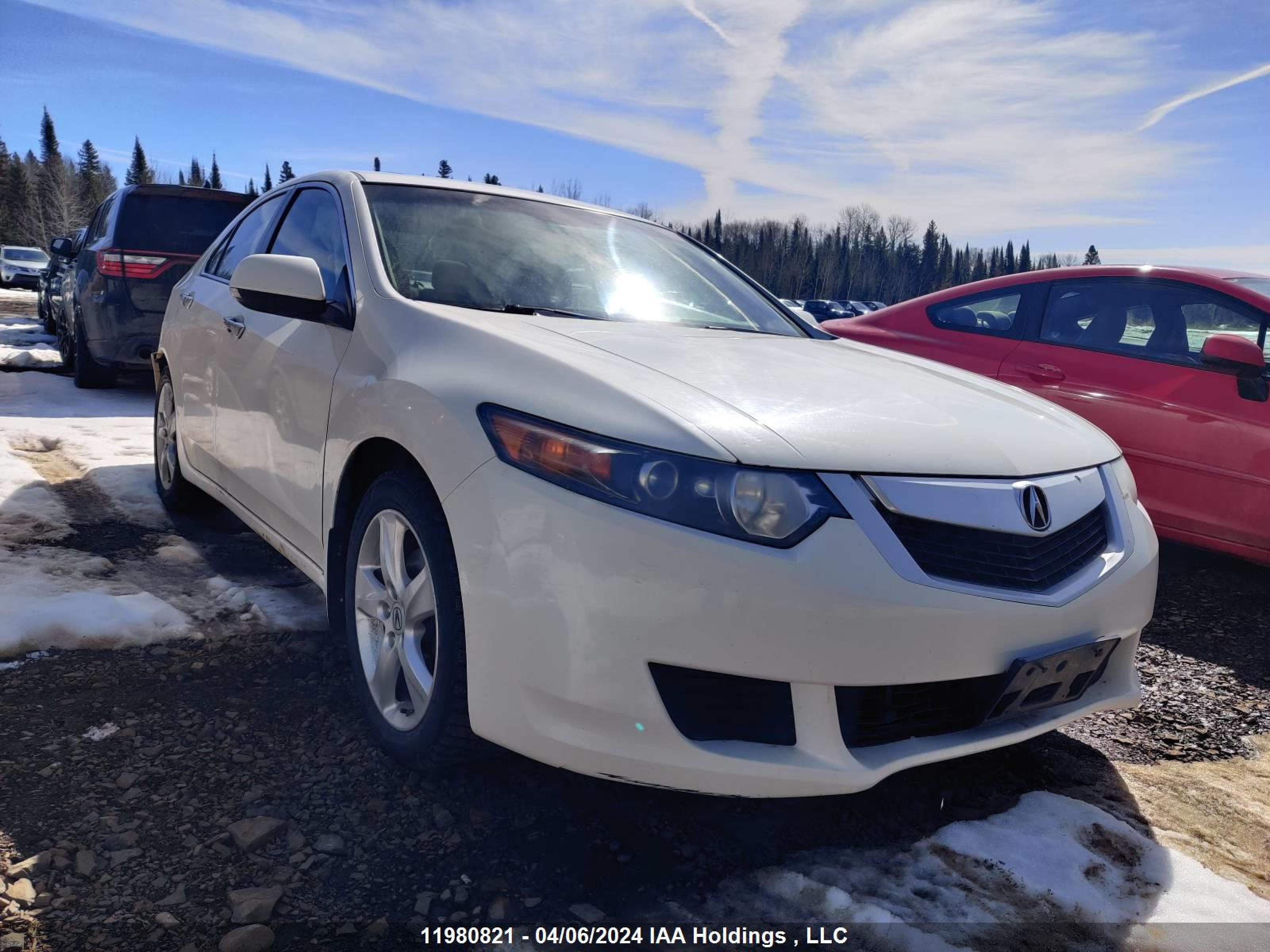 ACURA TSX 2010 jh4cu2f53ac800449