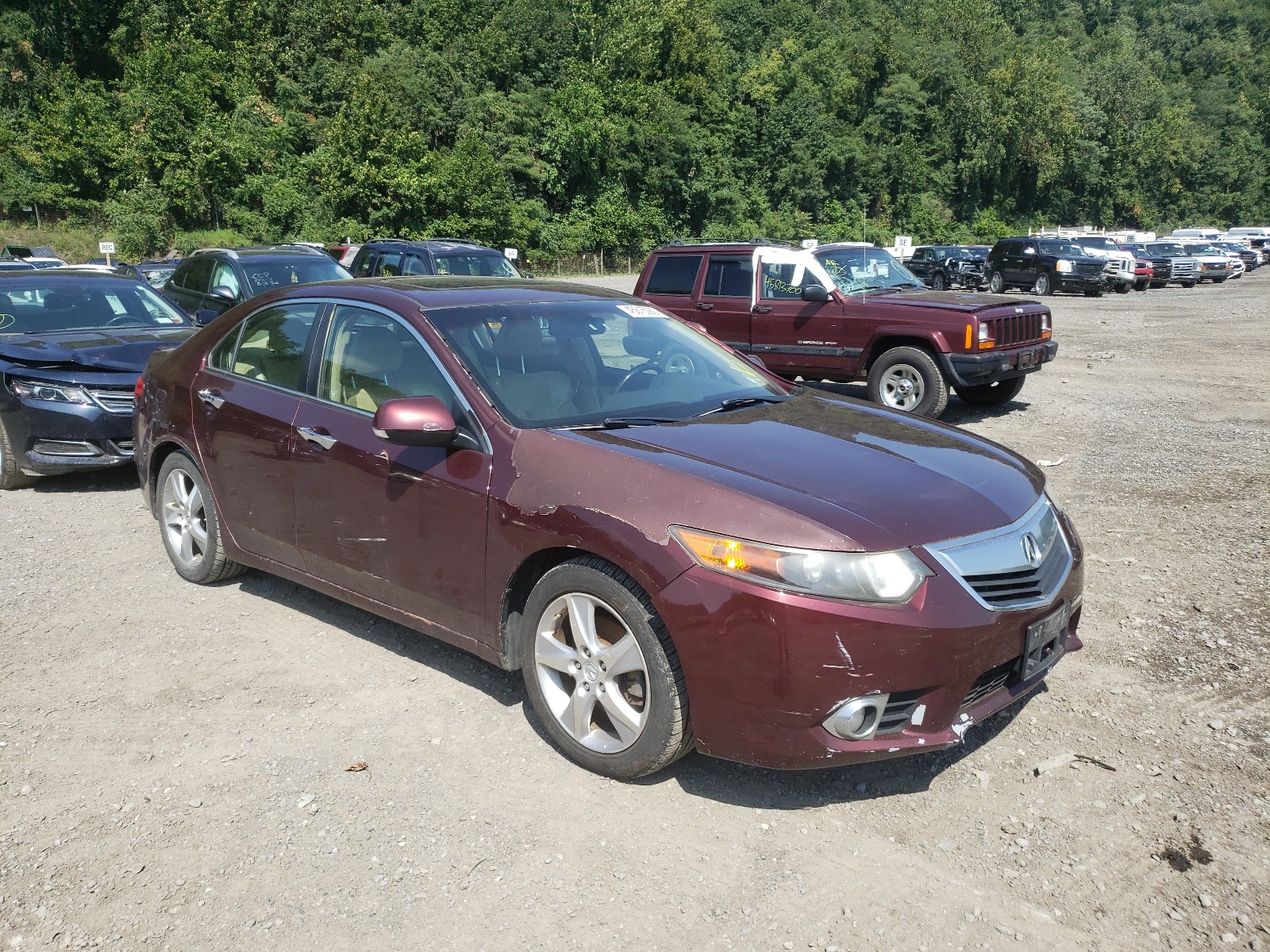 ACURA TSX 2011 jh4cu2f60bc011802