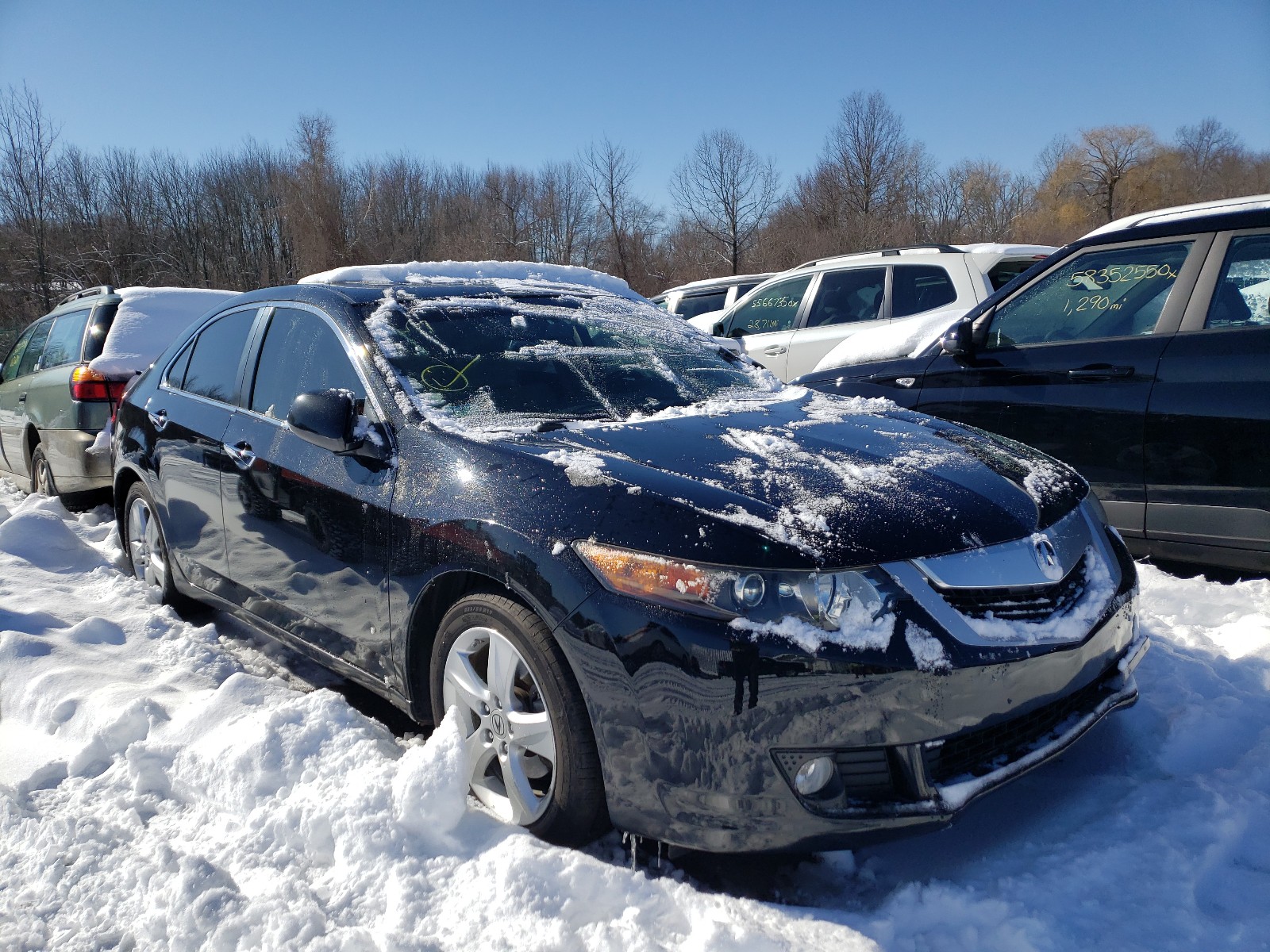 ACURA TSX 2010 jh4cu2f61ac010964