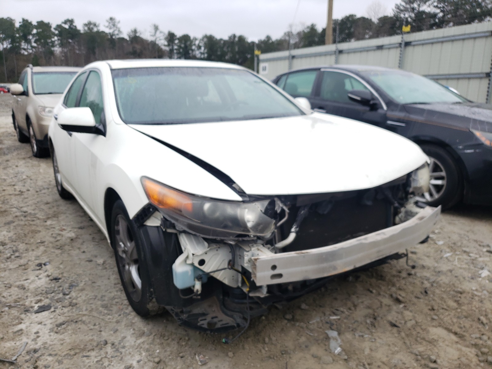 ACURA TSX 2010 jh4cu2f61ac024864