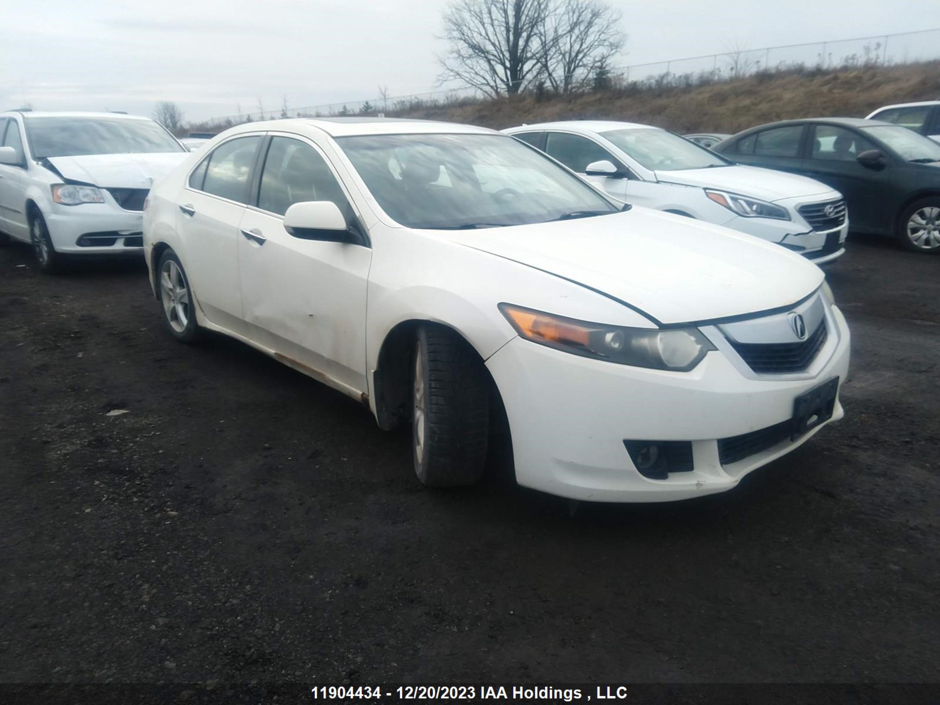 ACURA TSX 2010 jh4cu2f61ac800989