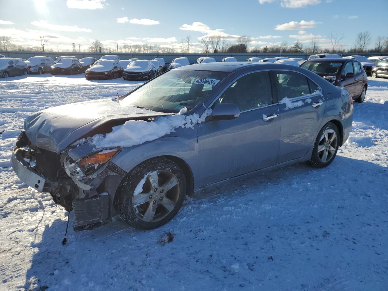 ACURA TSX 2011 jh4cu2f61bc012666