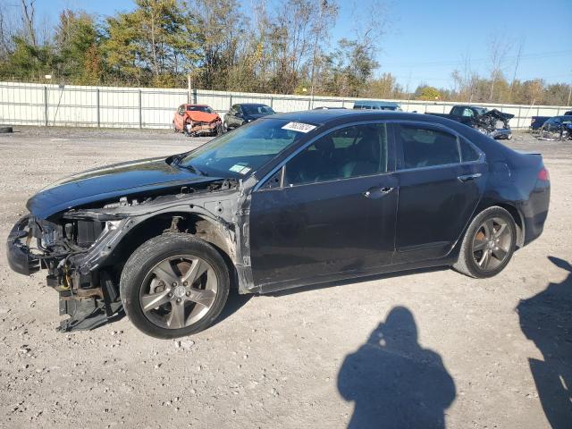 ACURA TSX 2011 jh4cu2f61bc012991