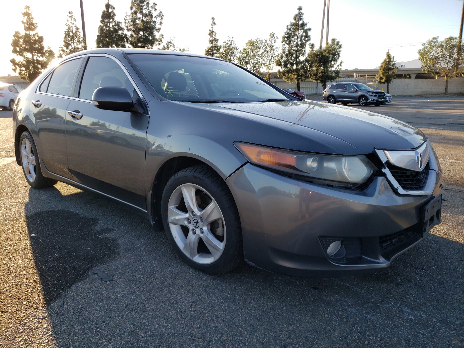 ACURA TSX 2010 jh4cu2f62ac033976