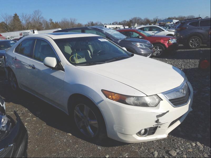 ACURA TSX 2011 jh4cu2f63bc003869