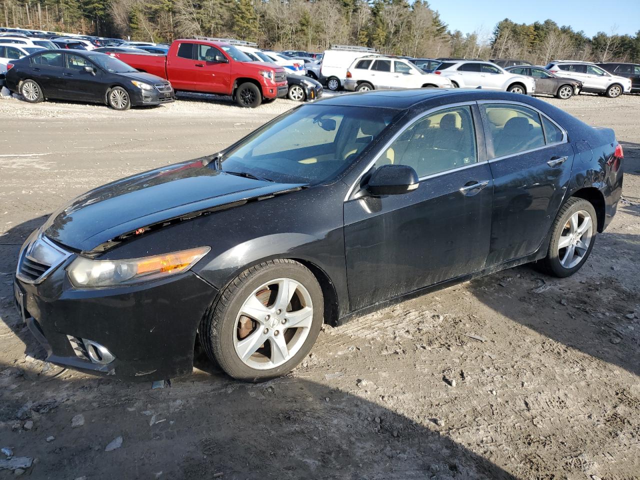 ACURA TSX 2013 jh4cu2f63dc001977