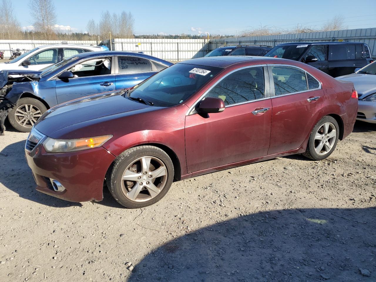 ACURA TSX 2011 jh4cu2f64bc018736