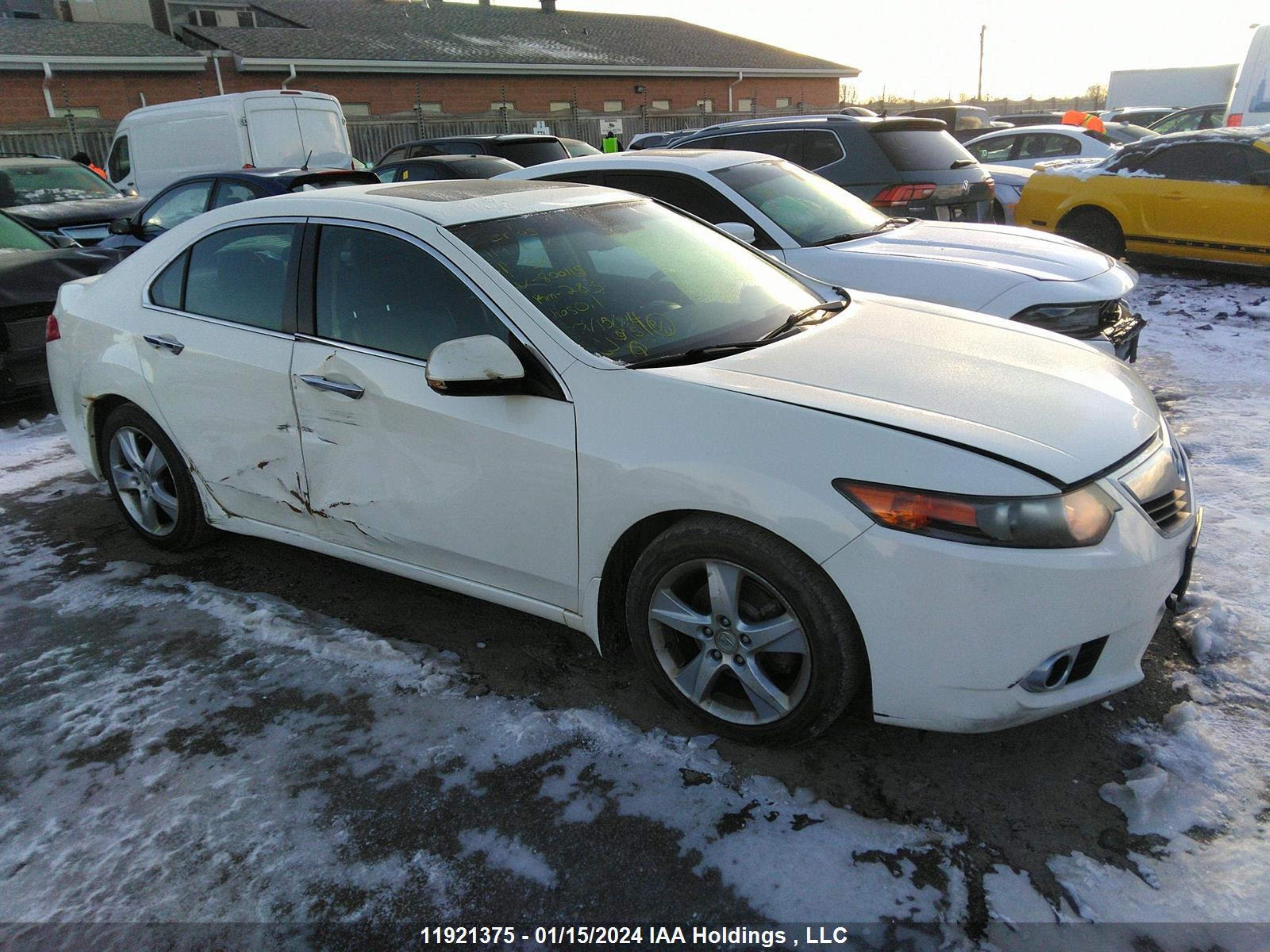 ACURA TSX 2011 jh4cu2f64bc800115