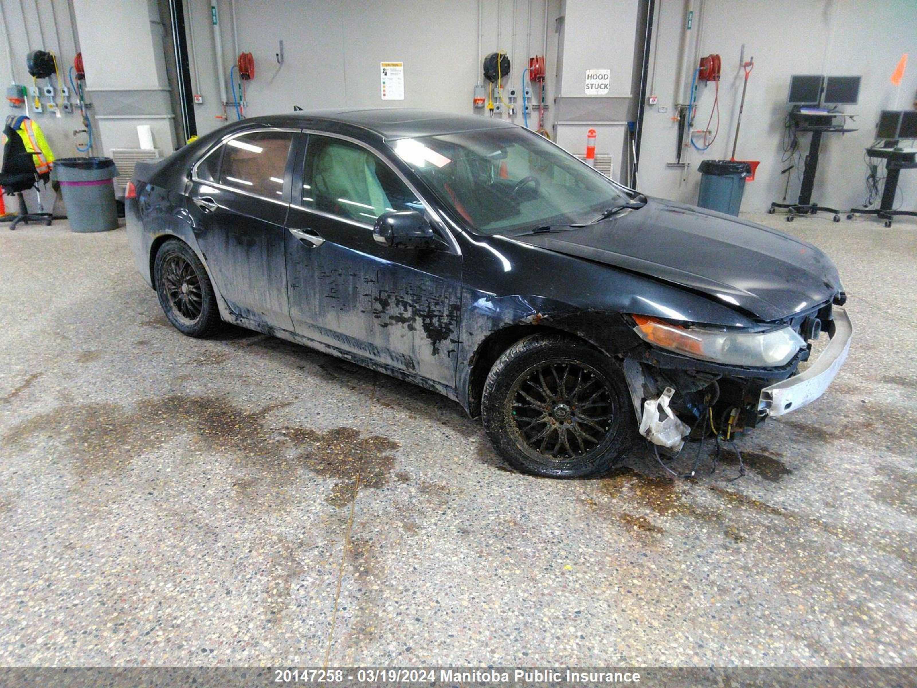 ACURA TSX 2010 jh4cu2f65ac801336