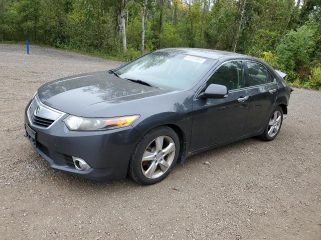 ACURA TSX 2011 jh4cu2f65bc800625