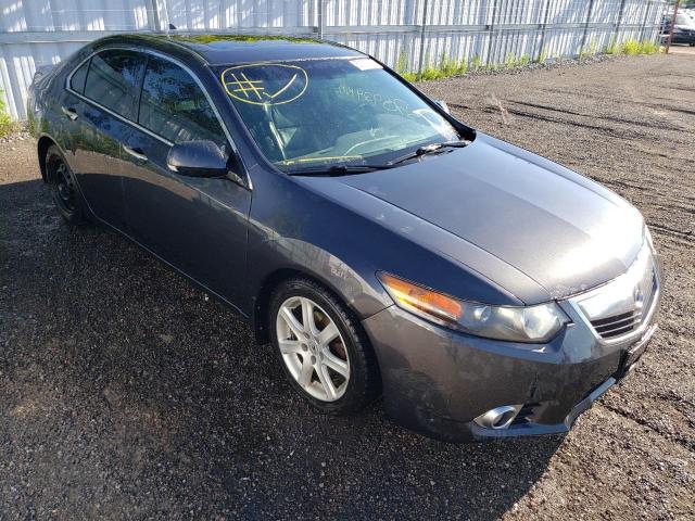 ACURA TSX 2011 jh4cu2f65bc800639