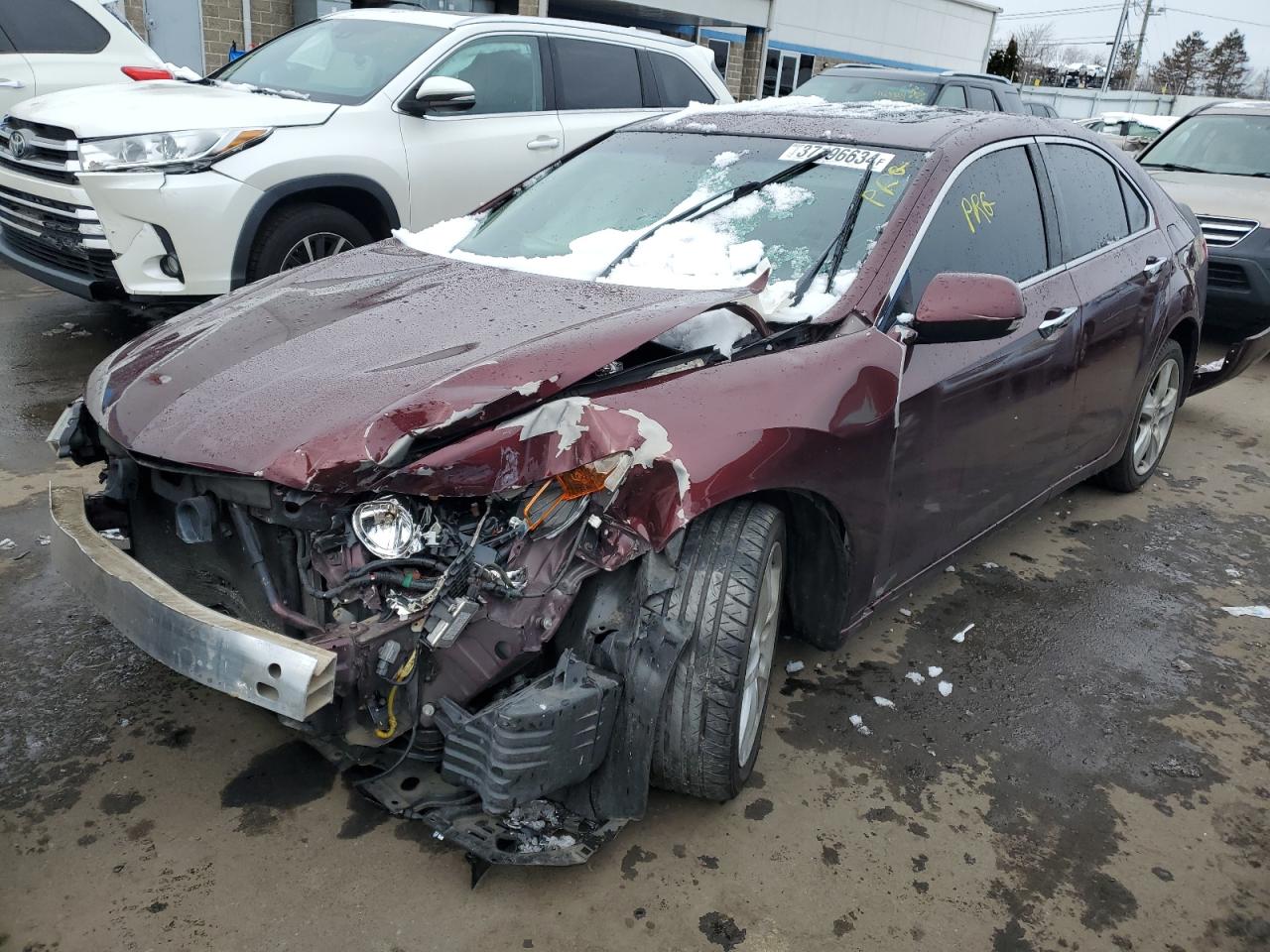 ACURA TSX 2010 jh4cu2f67ac043354