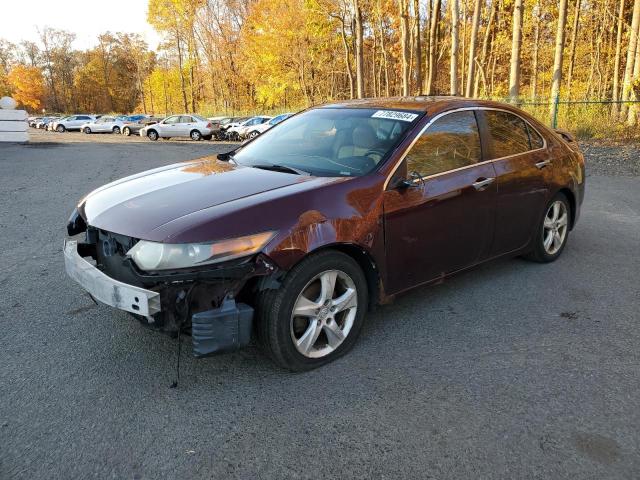 ACURA TSX 2010 jh4cu2f69ac043386