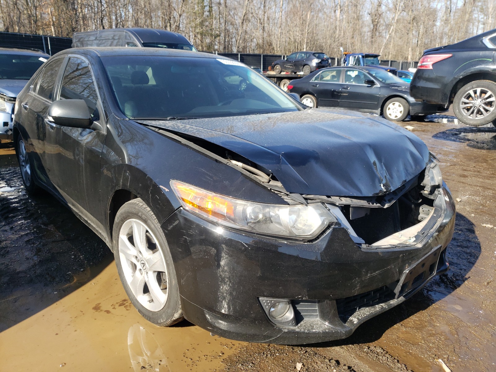 ACURA TSX 2010 jh4cu2f6xac026161