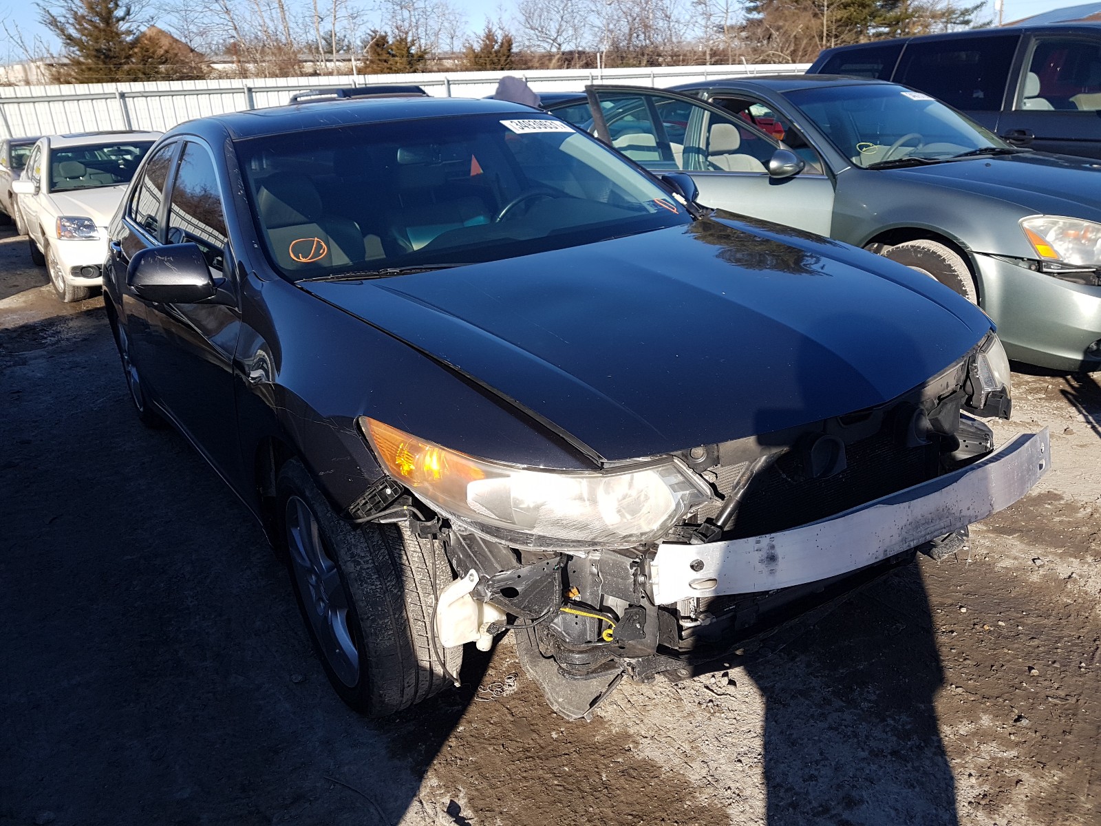 ACURA TSX 2011 jh4cu2f6xbc007787