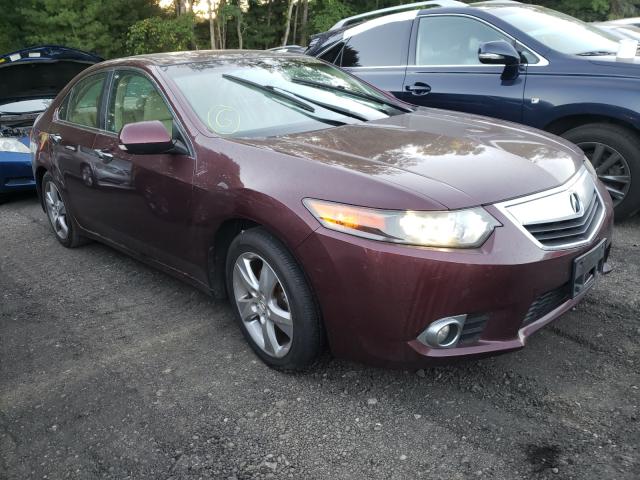 ACURA TSX 2011 jh4cu2f6xbc007966