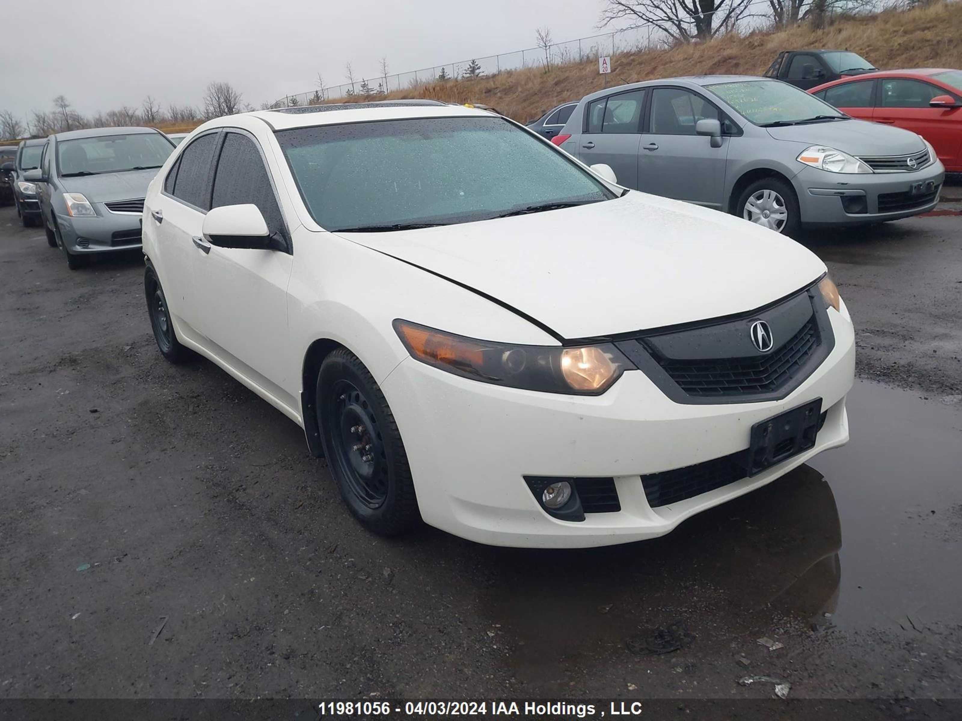 ACURA TSX 2010 jh4cu4f45ac800195