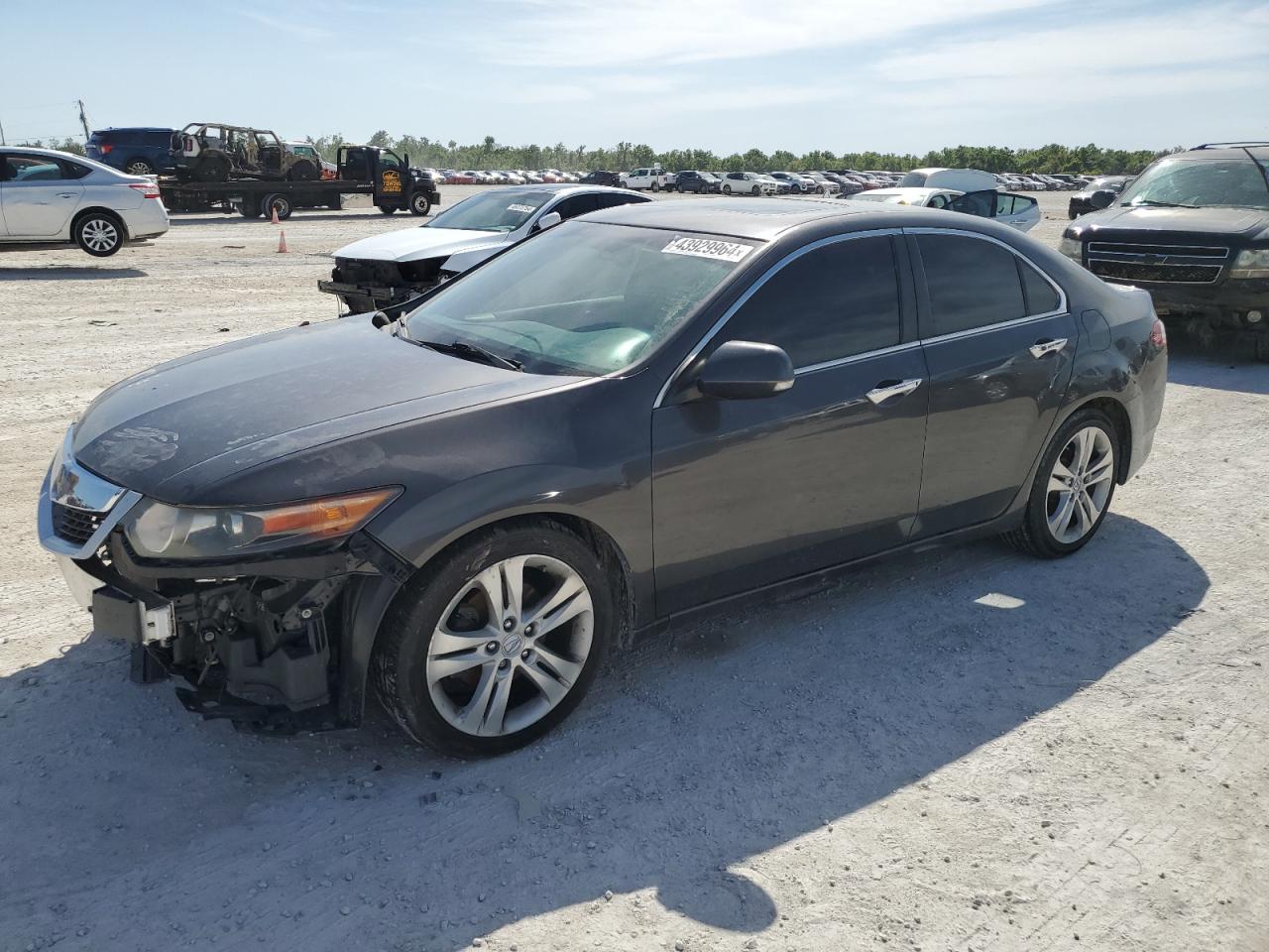 ACURA TSX 2010 jh4cu4f4xac002159