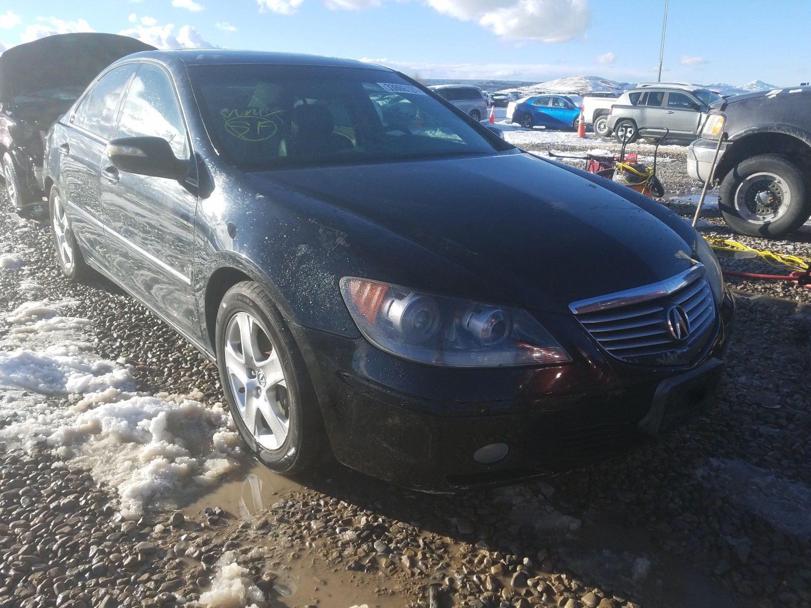 ACURA RL 2006 jh4kb16546c009110