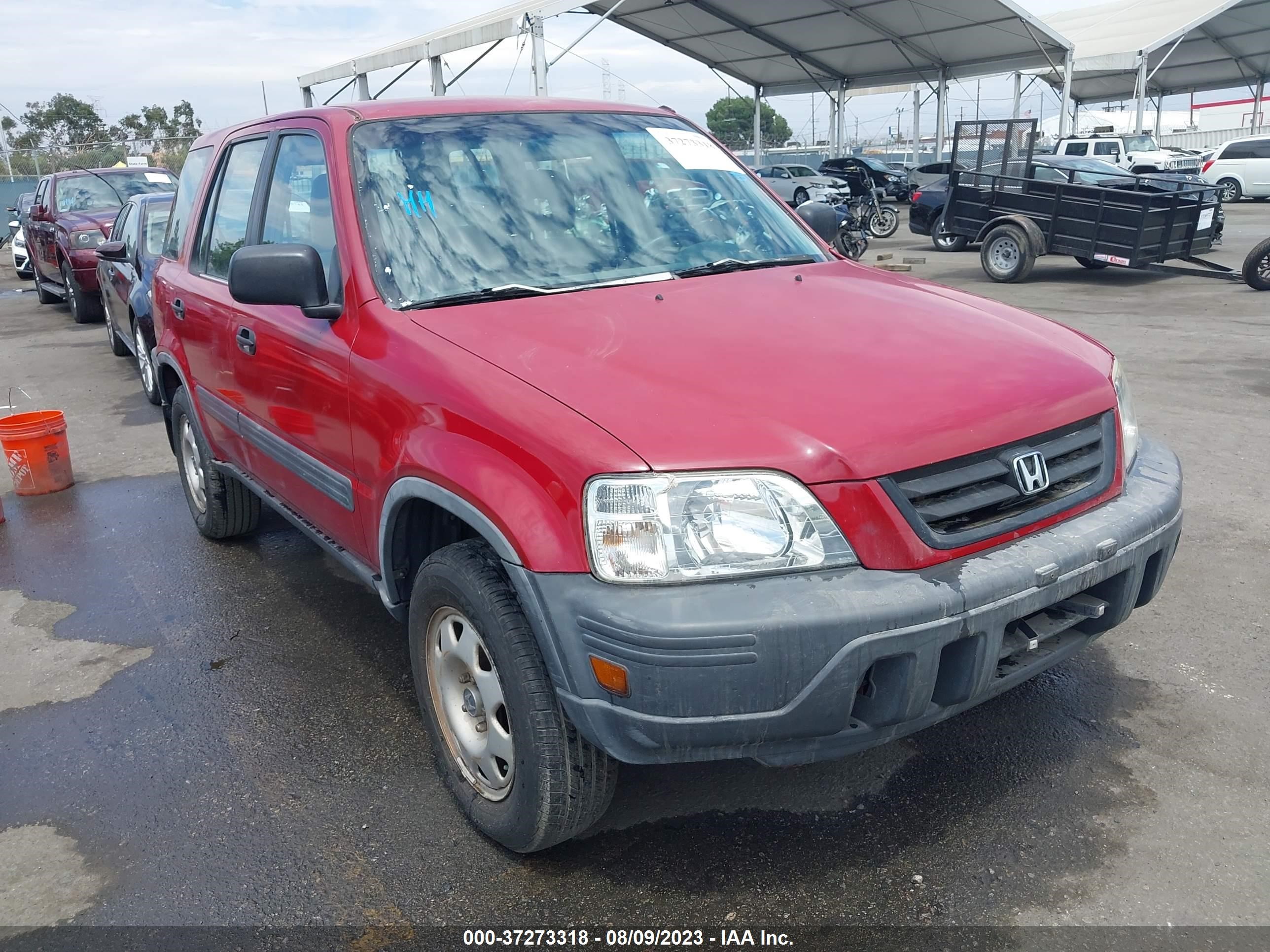 HONDA CR-V 1998 jhlrd1843wc084365