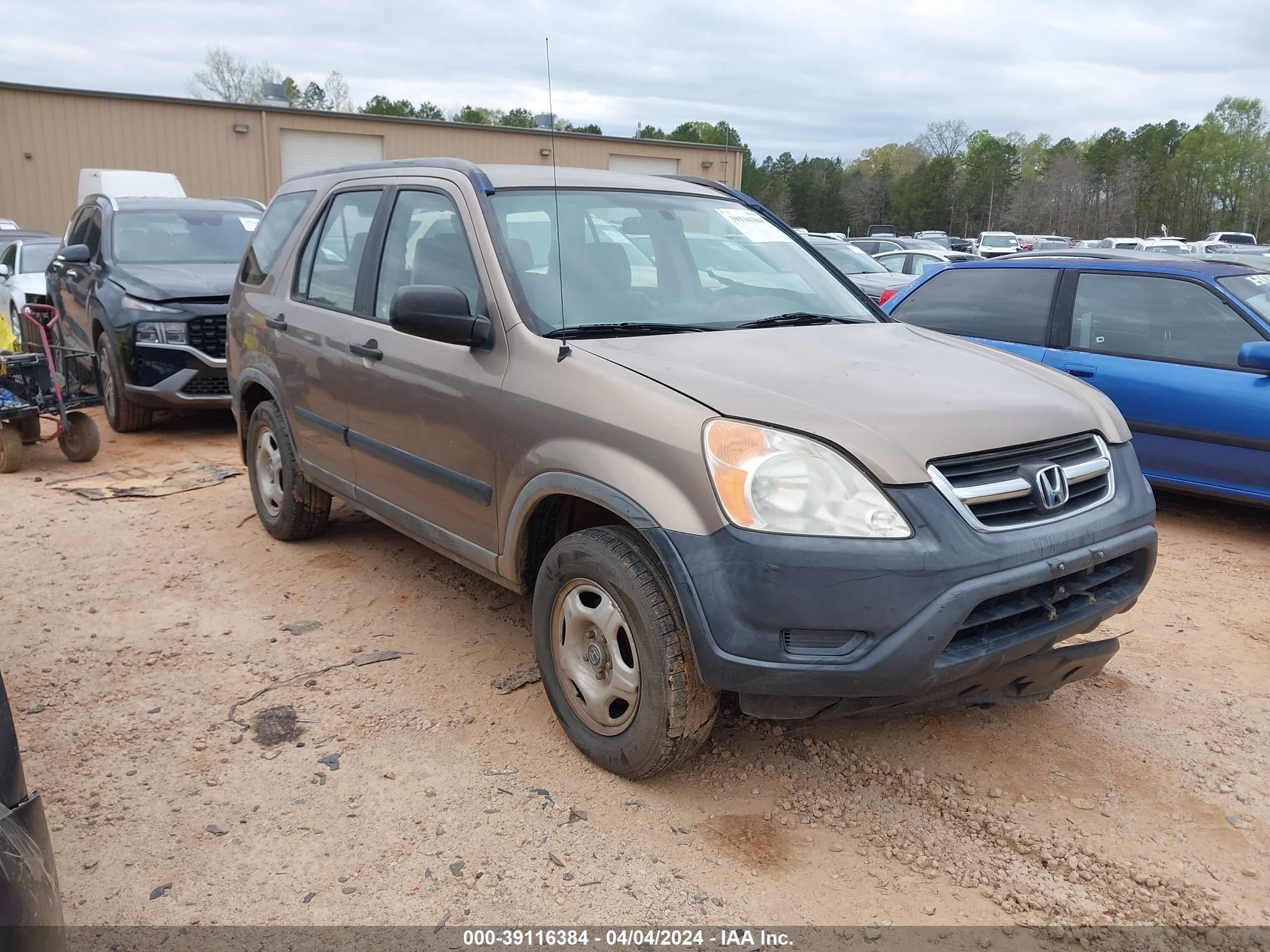 HONDA CR-V 2004 jhlrd68444c024296