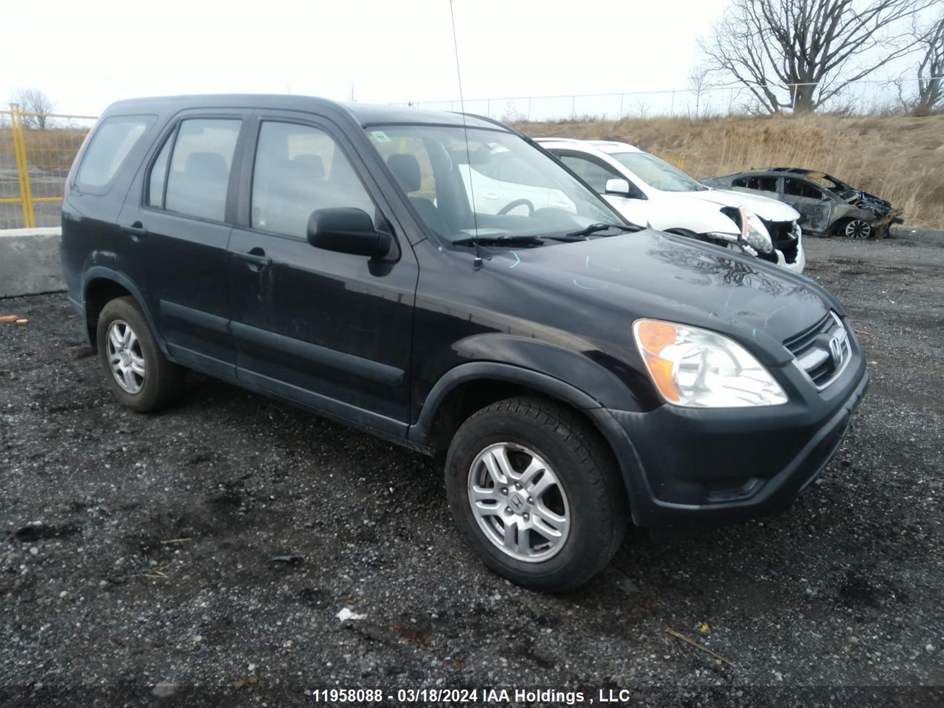 HONDA CR-V 2004 jhlrd78404c809498