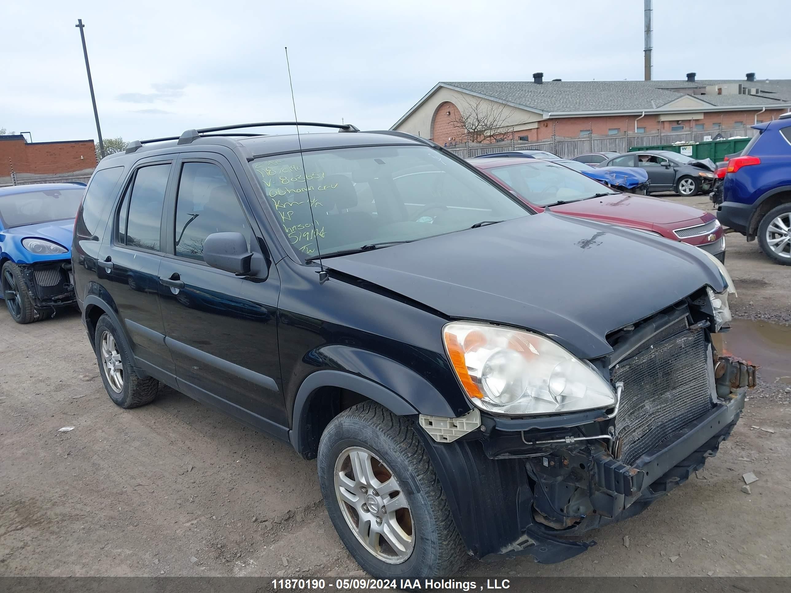 HONDA CR-V 2006 jhlrd78536c803657